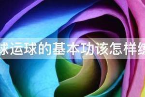 篮球运球基本功训练教程